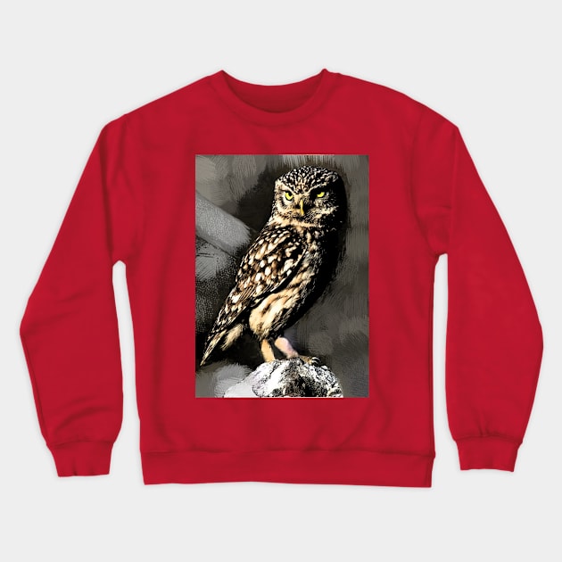 Night owl Crewneck Sweatshirt by STUDIOVi